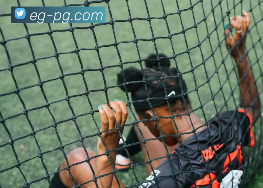 pg模拟器平台生态图